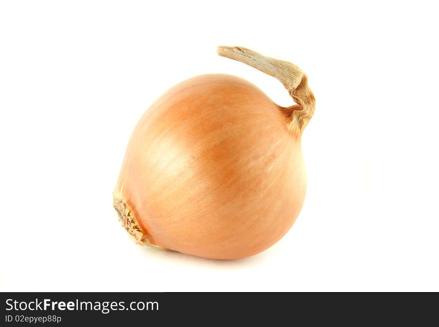 Fresh Onion