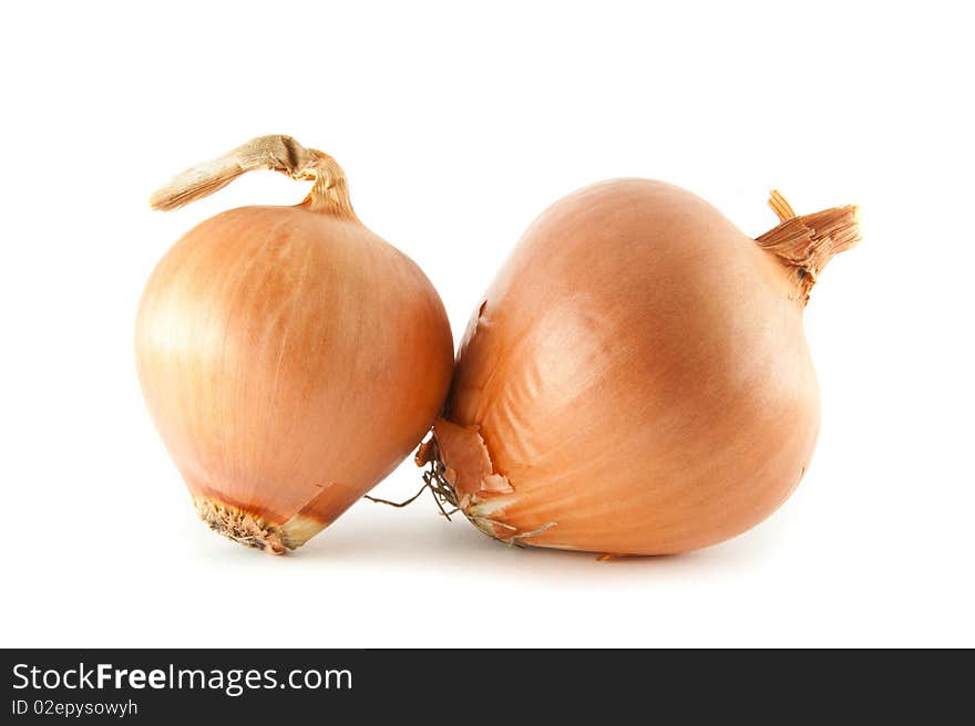 Two onions on white background.