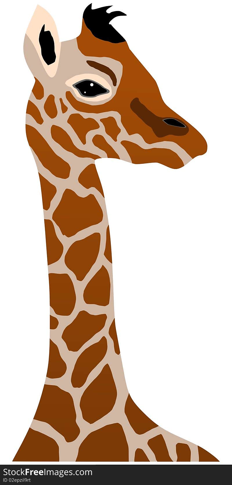 Vector illustration of giraffe cub