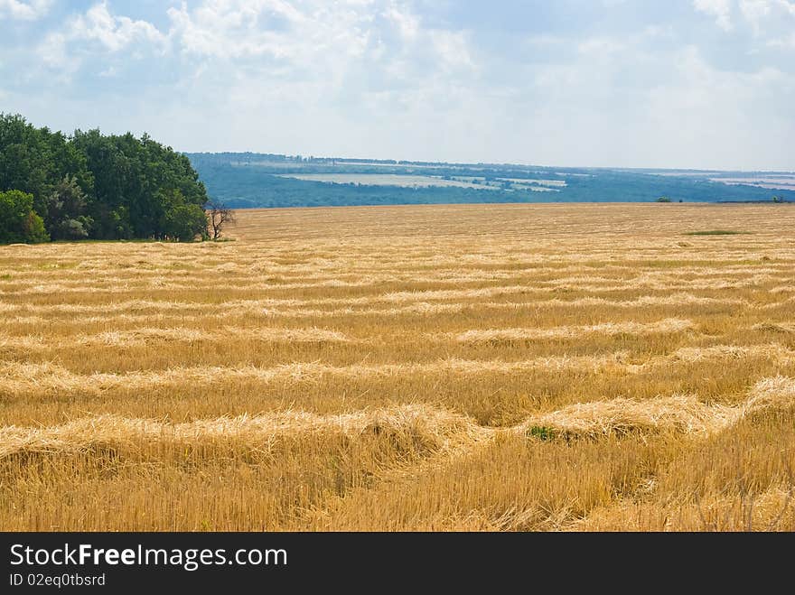 Time of mowing in Ukraine