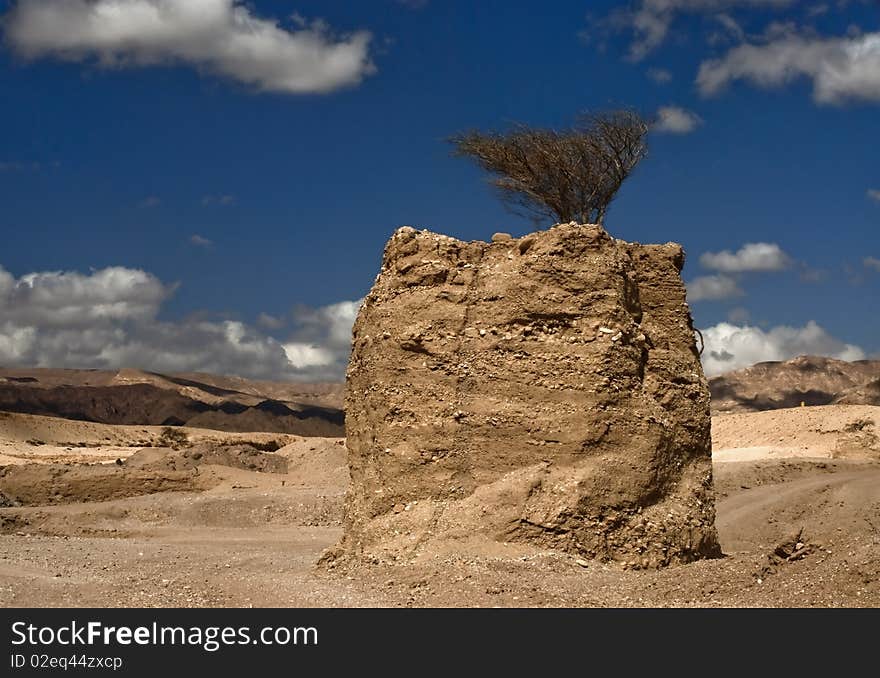 Stones of the Negev