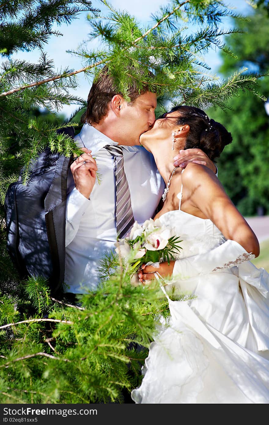 Passionate kiss the bride and groom at a wedding a walk in the city park. Passionate kiss the bride and groom at a wedding a walk in the city park