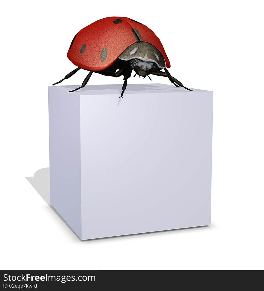 Photo realistic 3d lady bug standing on a blank 3d box. You decide what the box says!. Photo realistic 3d lady bug standing on a blank 3d box. You decide what the box says!