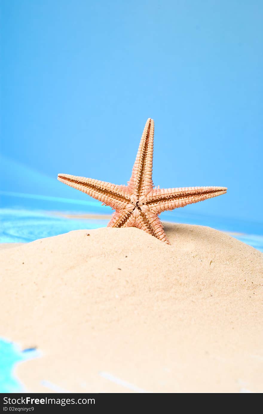 Starfish on sand and blue background