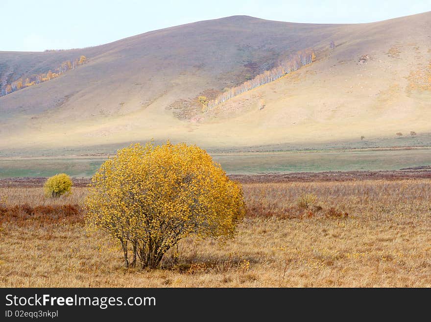 Autumn prairie scenery in Neimeng, China