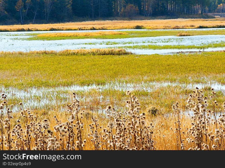 Autumn prairie lake scenery in Neimeng, China