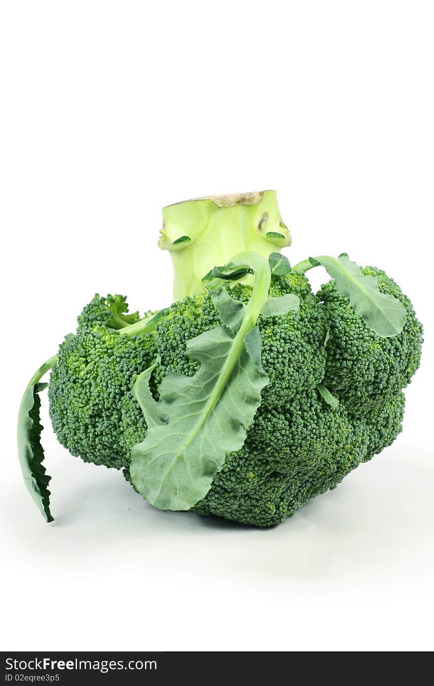 Ripe Broccoli Cabbage