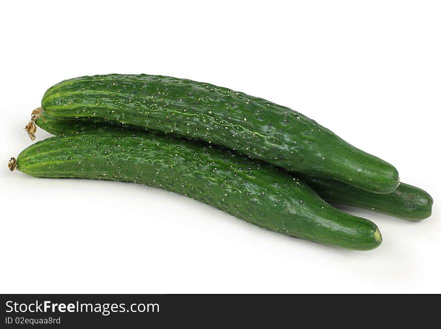 Cucumber