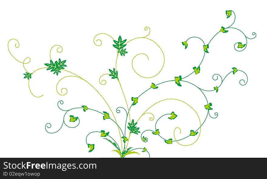 Flower And Vines Pattern