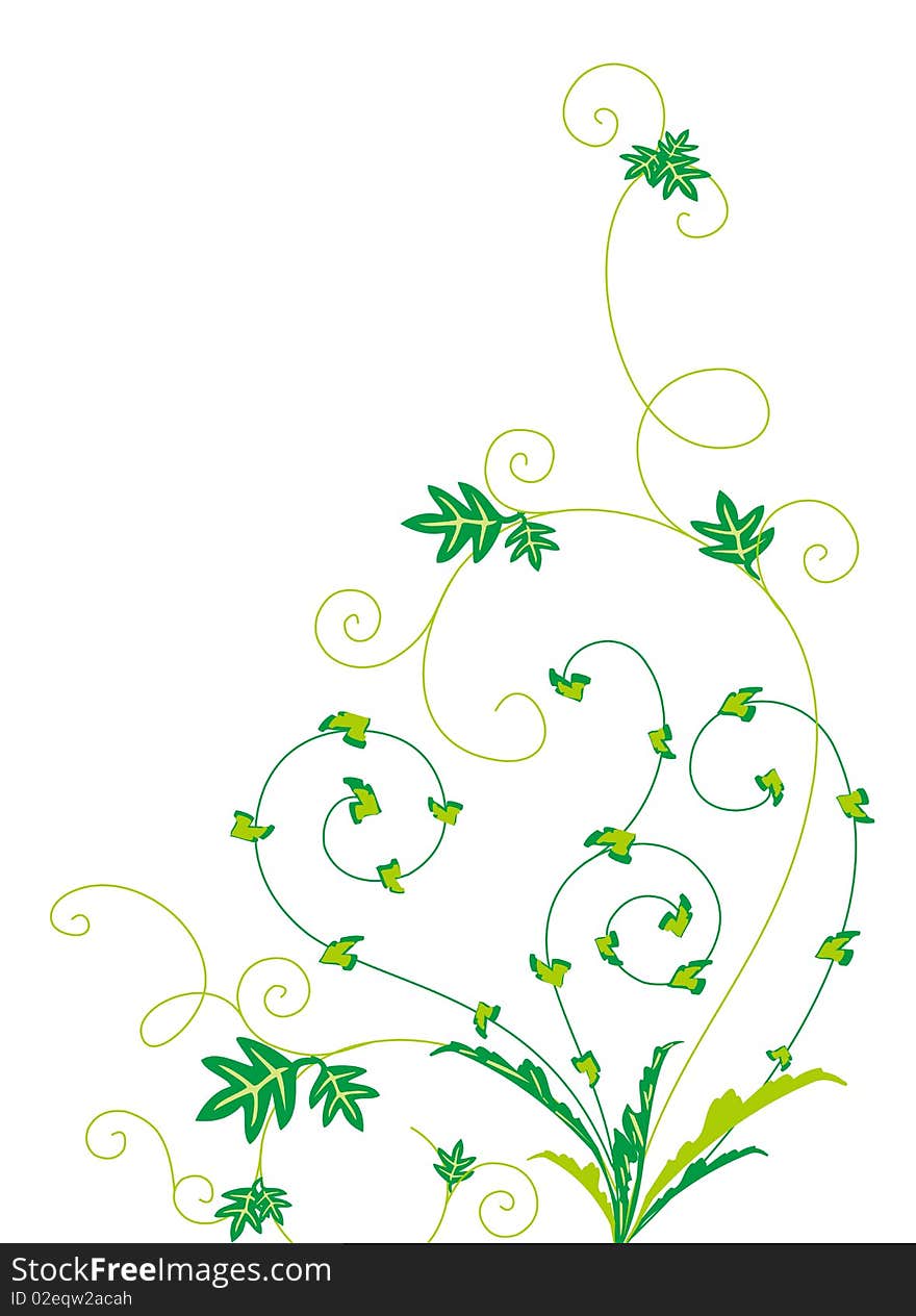 Drawing of green flower pattern in a white background. Drawing of green flower pattern in a white background