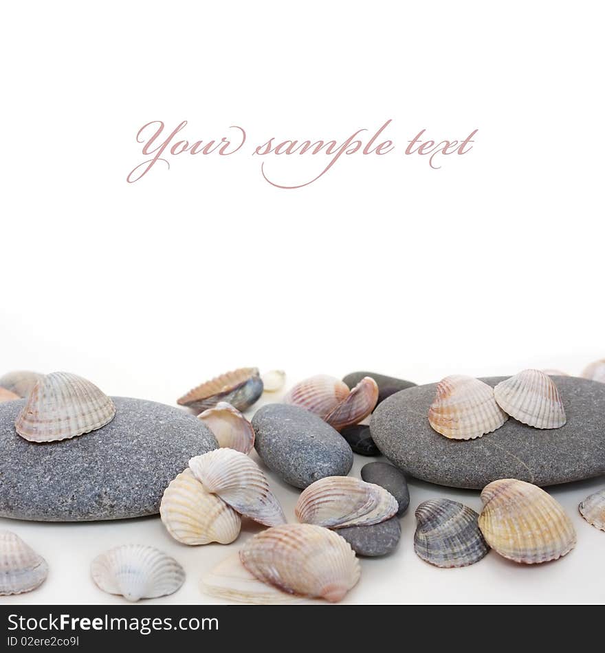 Cockle-shell with pebble on white background, card