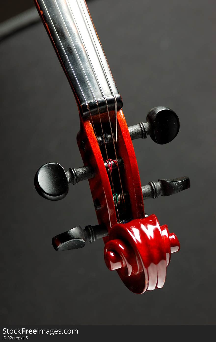 Violin