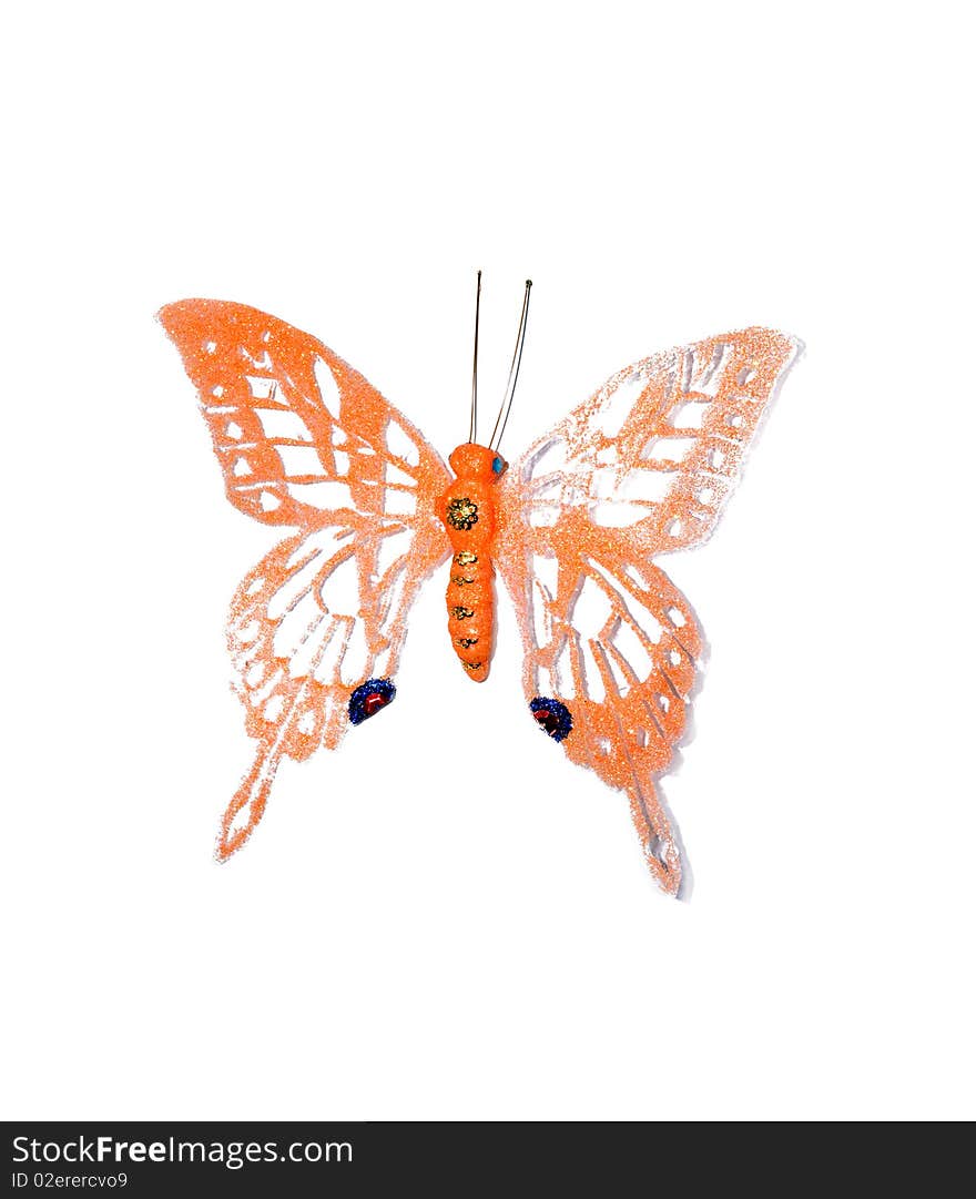 Close up of decorative butterfly on white background