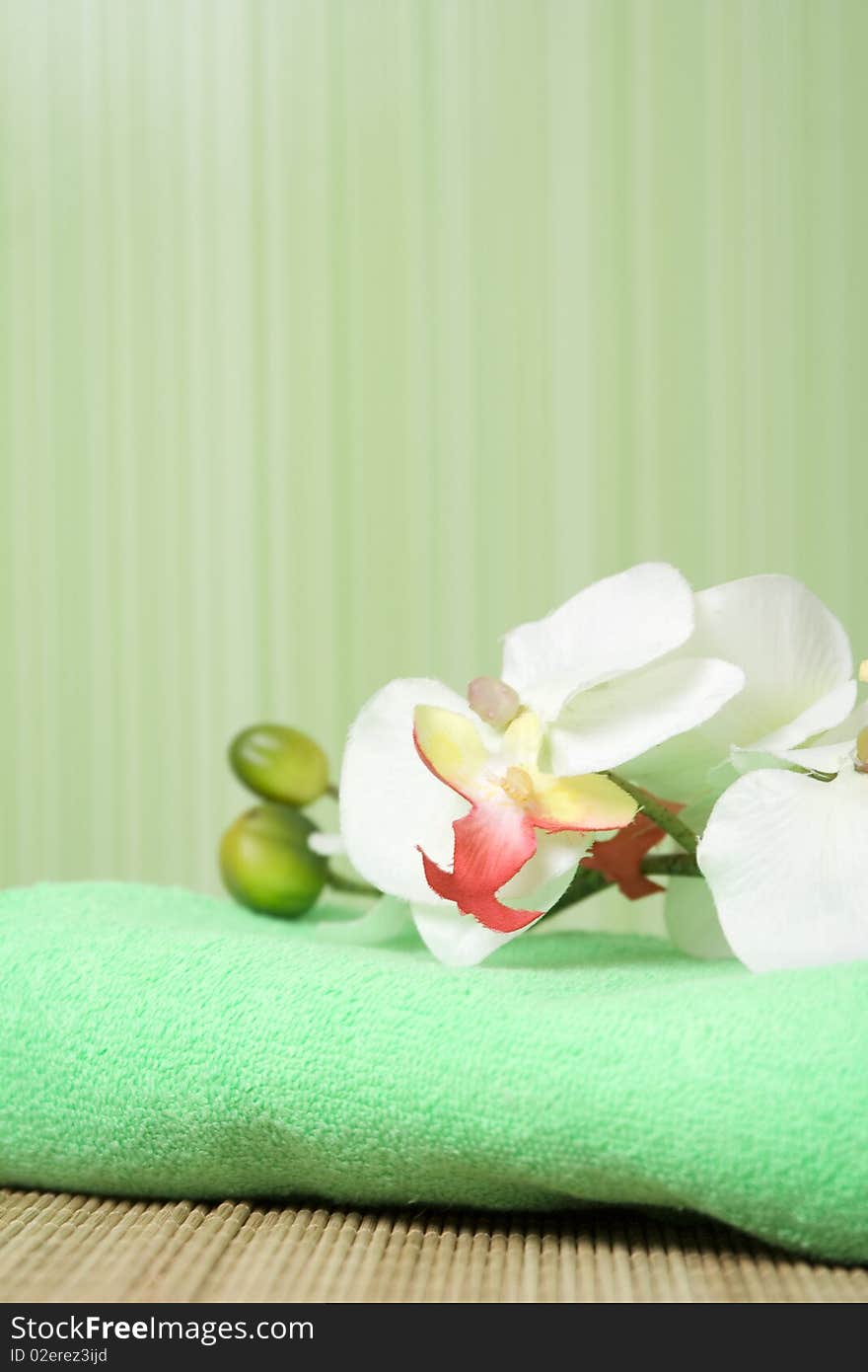 Bathroom in green tones. Towel green it is a white orchid. Bathroom in green tones. Towel green it is a white orchid