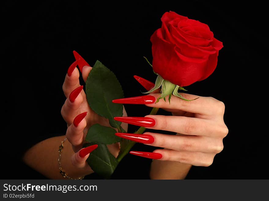 Nails hands, woman gentle, flower, accurate, manicure dangerous