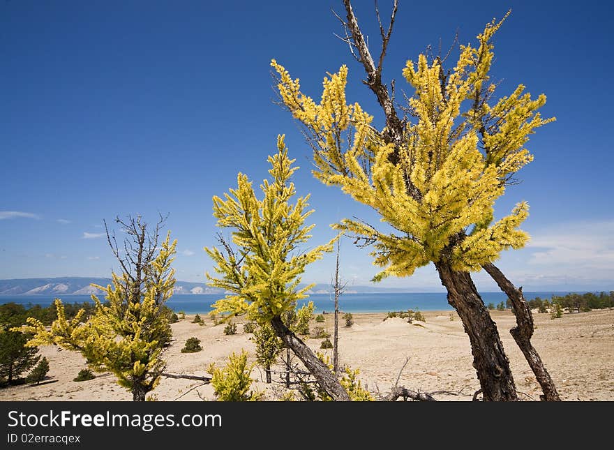 Fall on Baikal