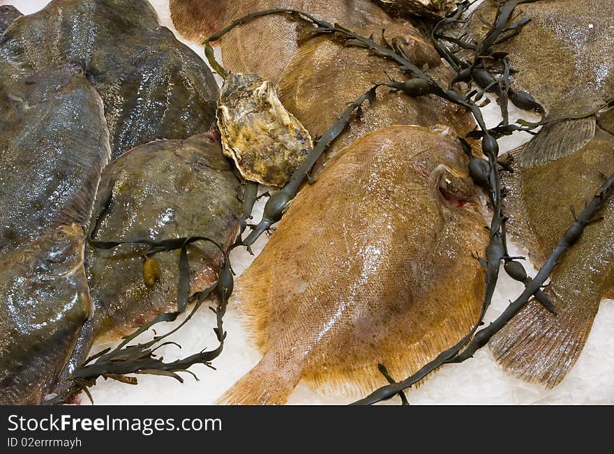 Fresh raw fish in supermarket