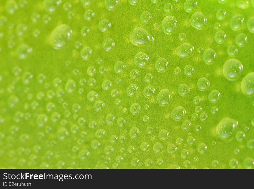 Water drops on a green surface, selective focus.