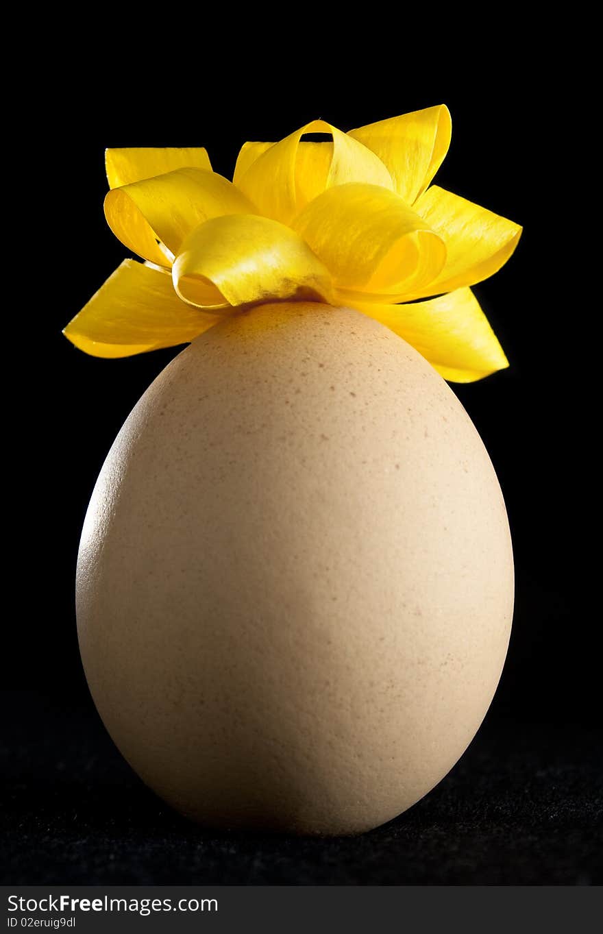 Egg with Yellow Rosette on Black Background