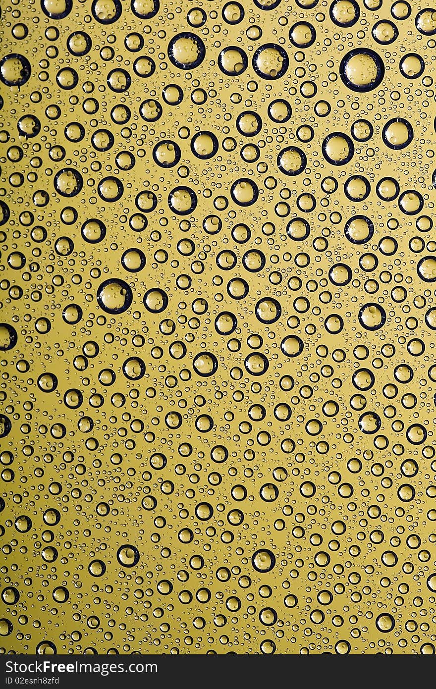 Drops on window