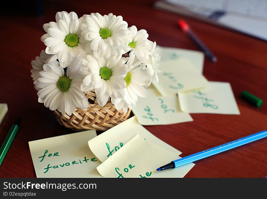 White daisies