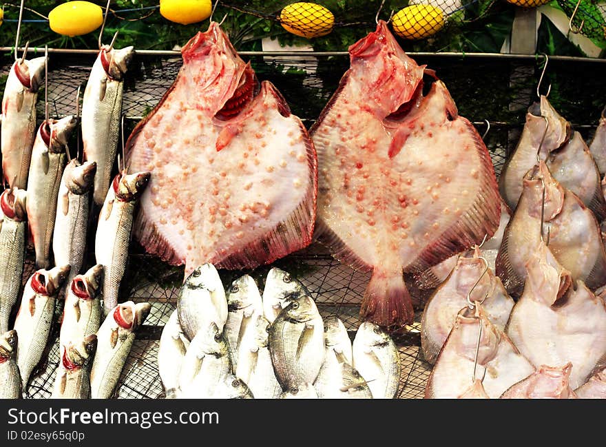 Variety of fishes in the market. Variety of fishes in the market