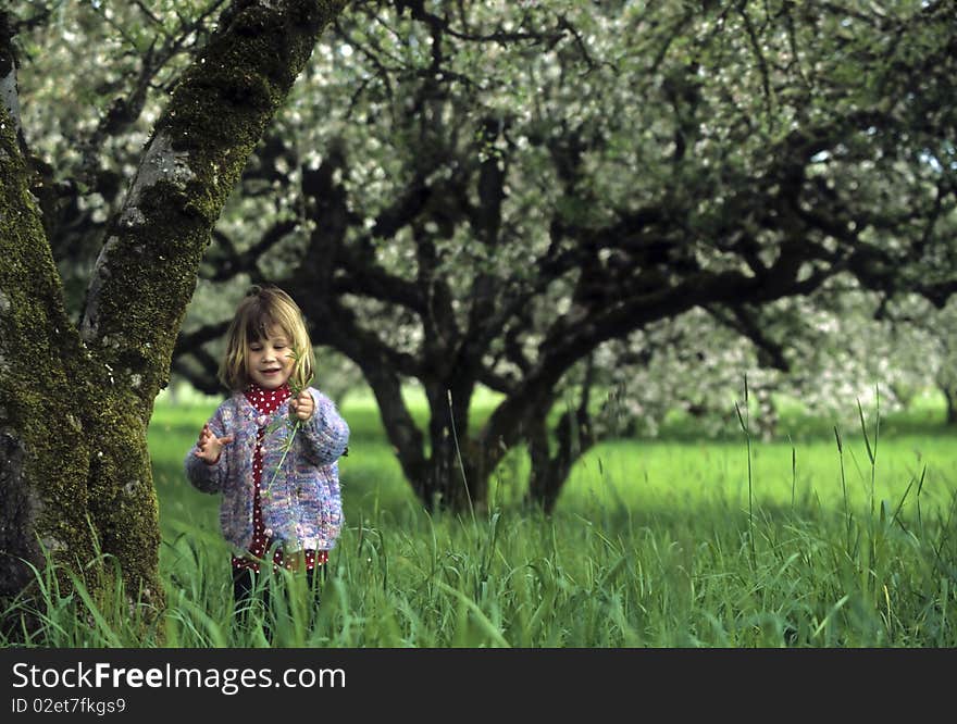 Little girl in an orchard