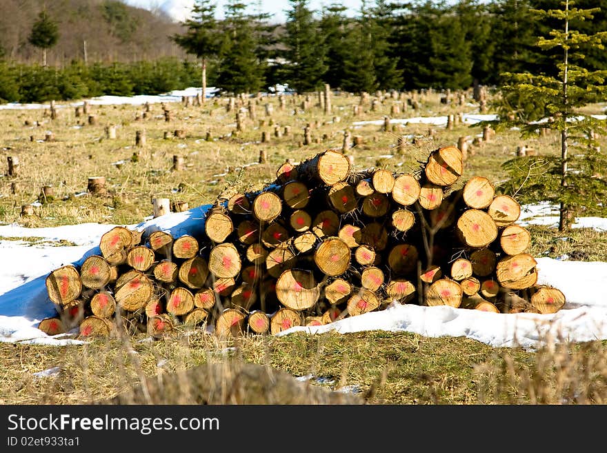 A stack of wood for the fireplace. A stack of wood for the fireplace