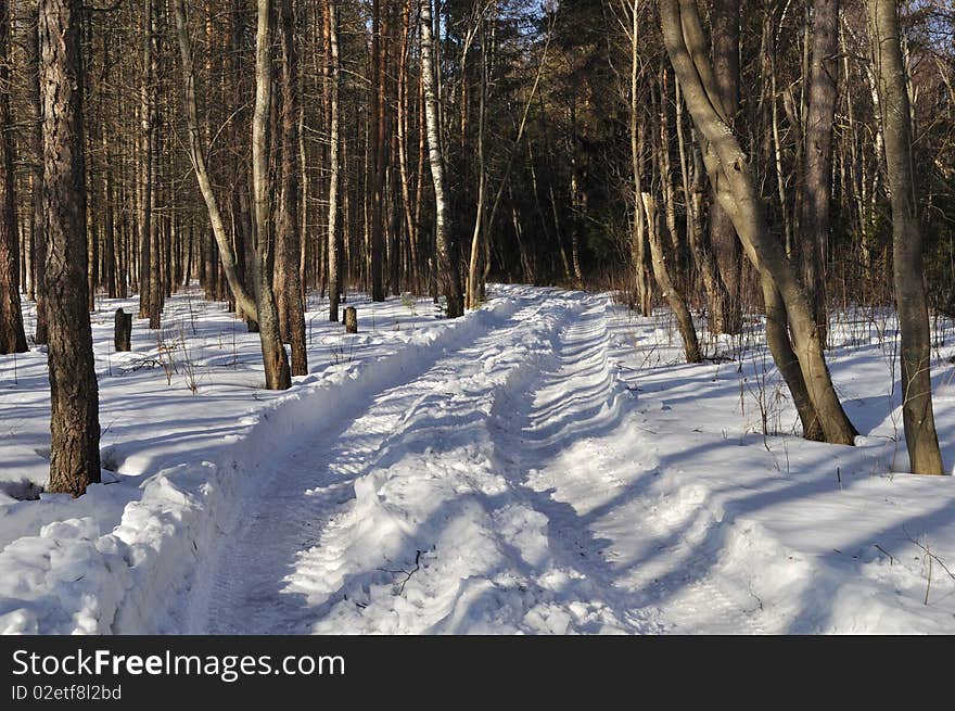 Winter earth rut under snow in coniferous forest, Russia. Winter earth rut under snow in coniferous forest, Russia