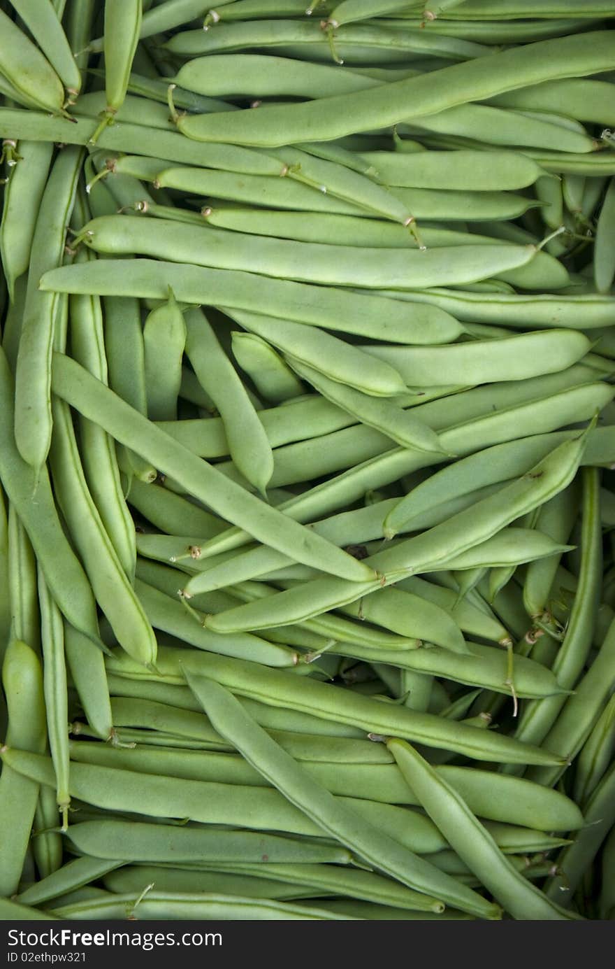 A collection green bean vegetable also known in some countris as loubia. A collection green bean vegetable also known in some countris as loubia