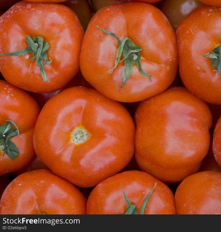 Freshly picked red Tomatoes ordered onne next to the other