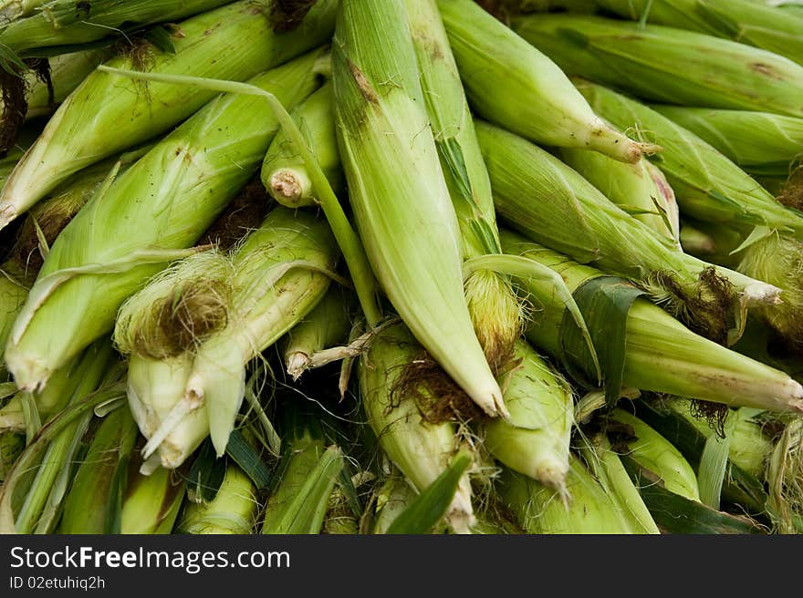 A stack of organic fresh corn at a farmer's market. A stack of organic fresh corn at a farmer's market.