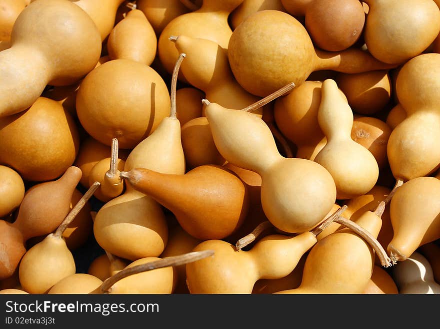 Many Butternut squash for sale at an outdoor farmers market