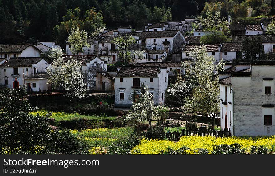 This is a beautiful chinese village in the spring