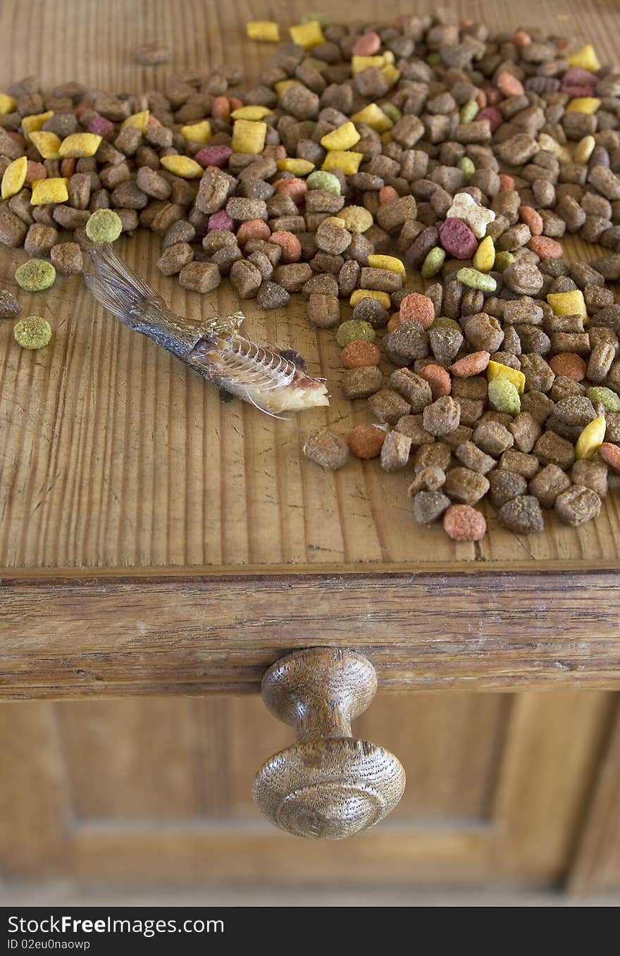 Food For Cat.