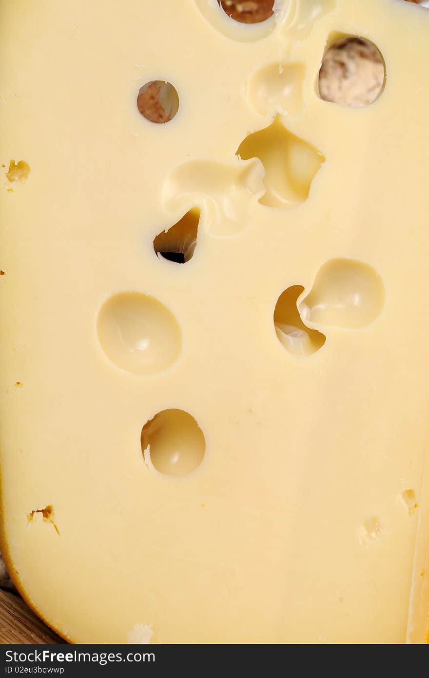 Cheese texture isolated