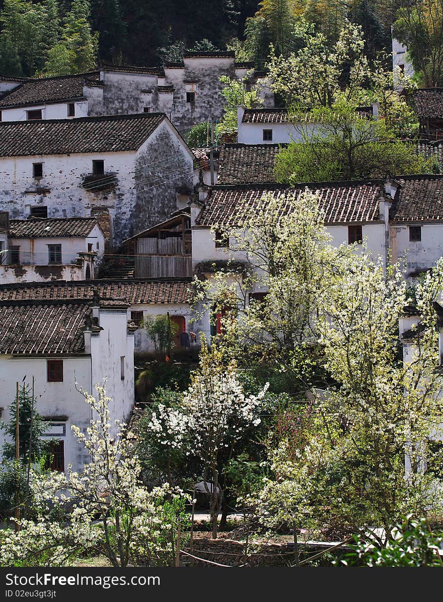 The chinese village is more beautiful in the spring. The chinese village is more beautiful in the spring