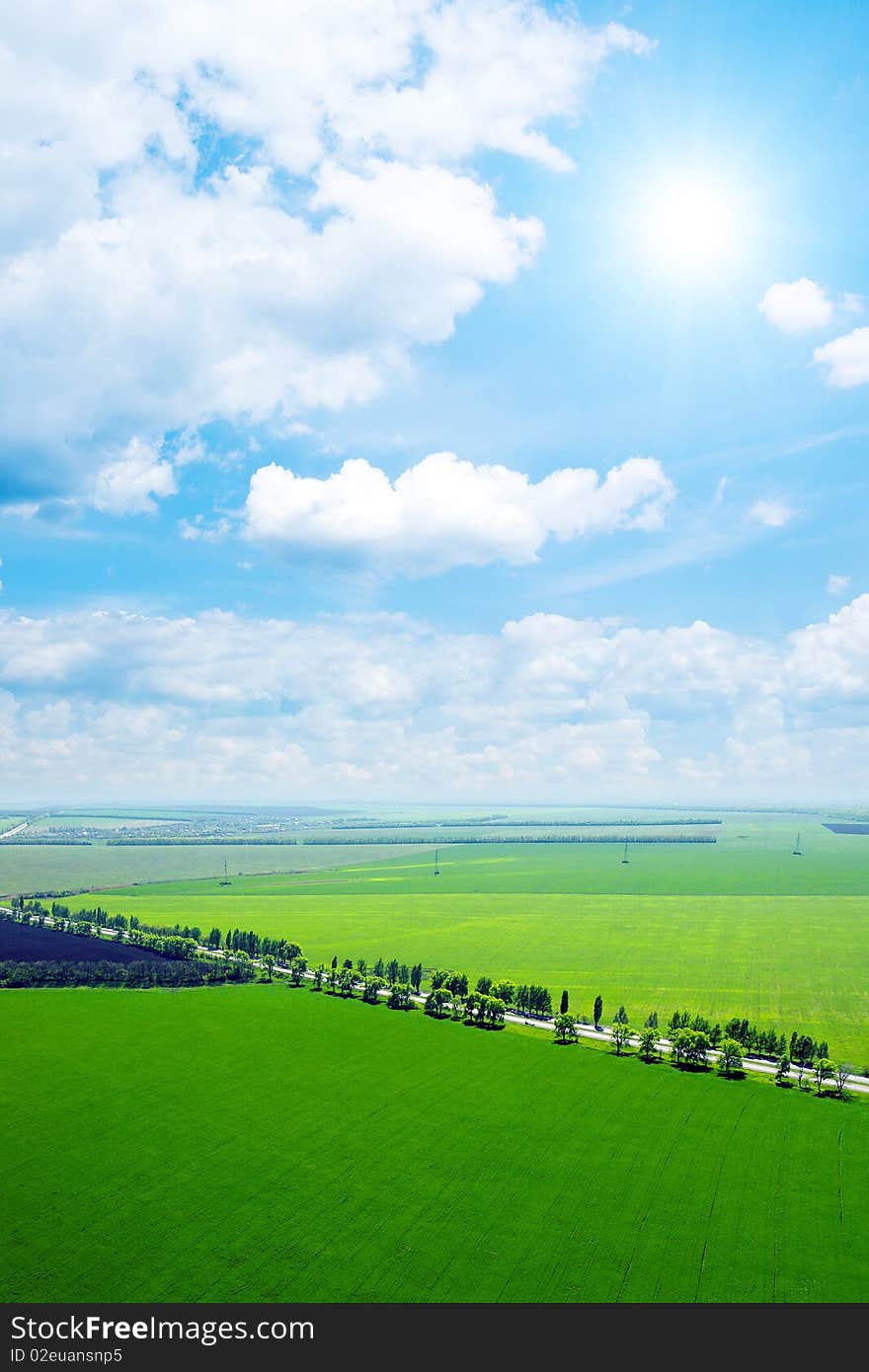 Spring green field. View from above.