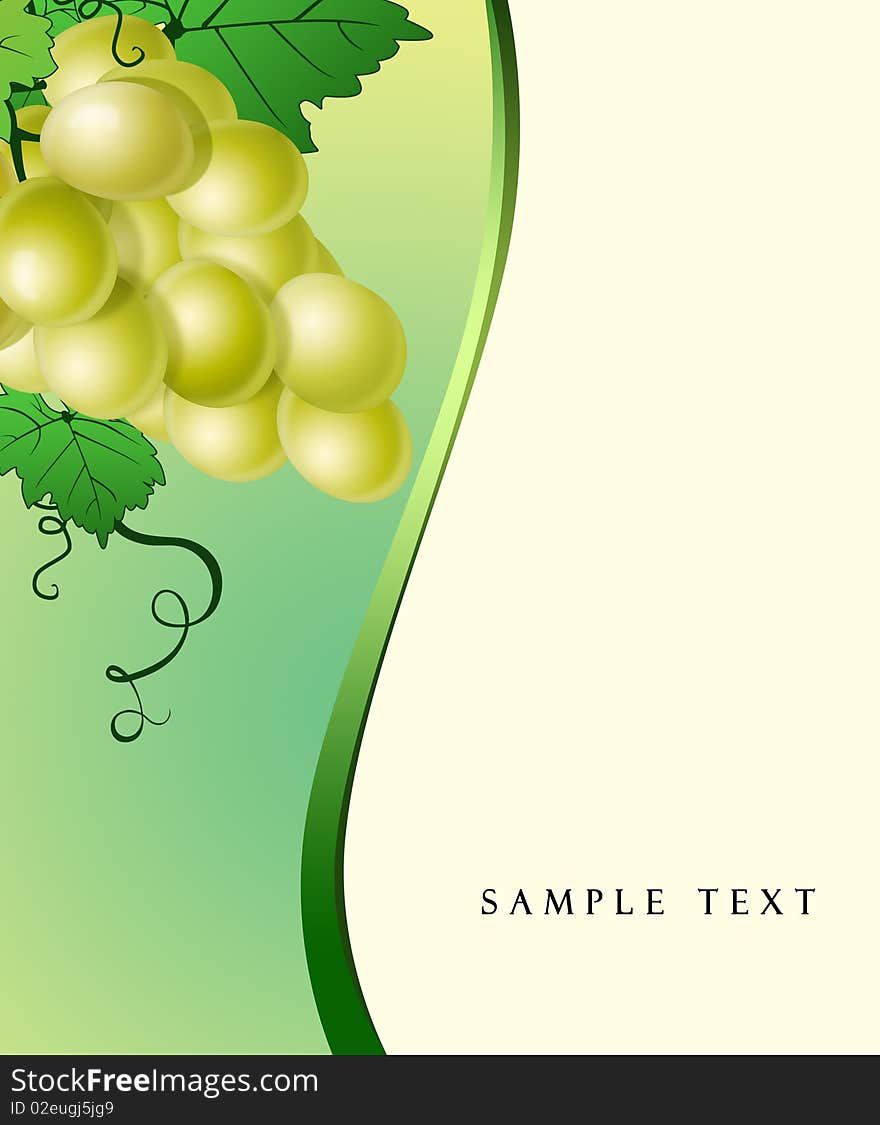 Illustration of abstract background of clusters of vine on a white background. Illustration of abstract background of clusters of vine on a white background