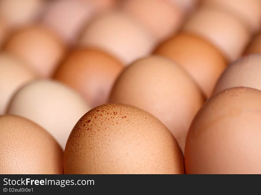 Eggs