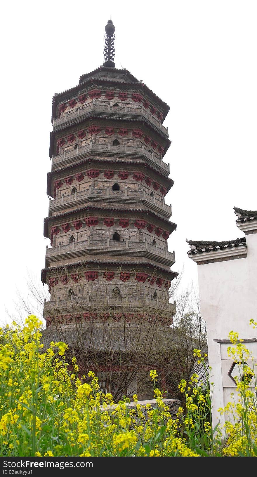 Ancient pagoda with rapeseed blossom in Anhui,China