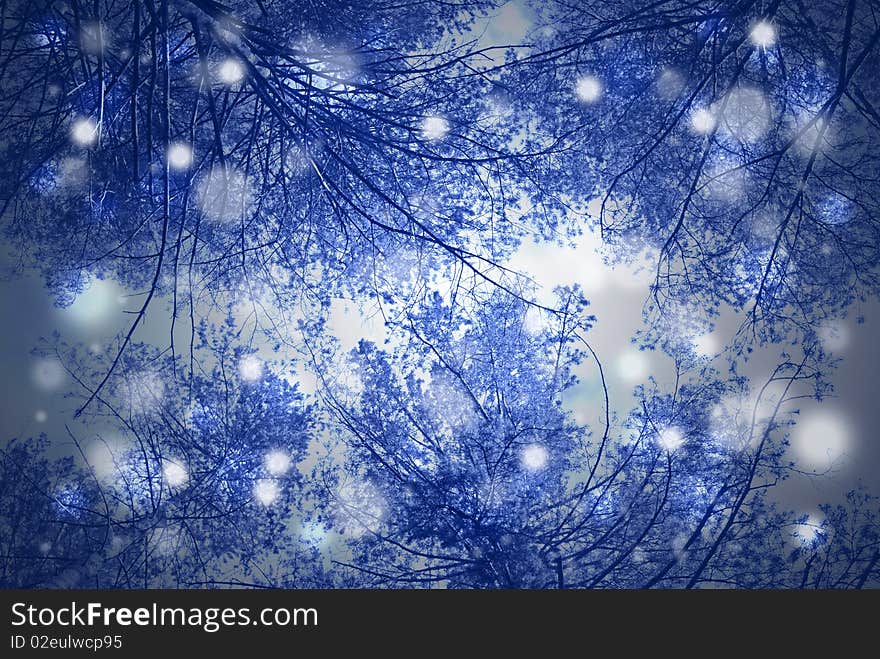 Blue winter background with snow and pines