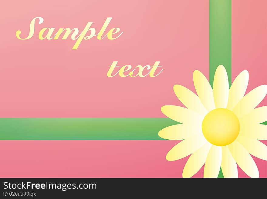 Colorful Background. Chamomile