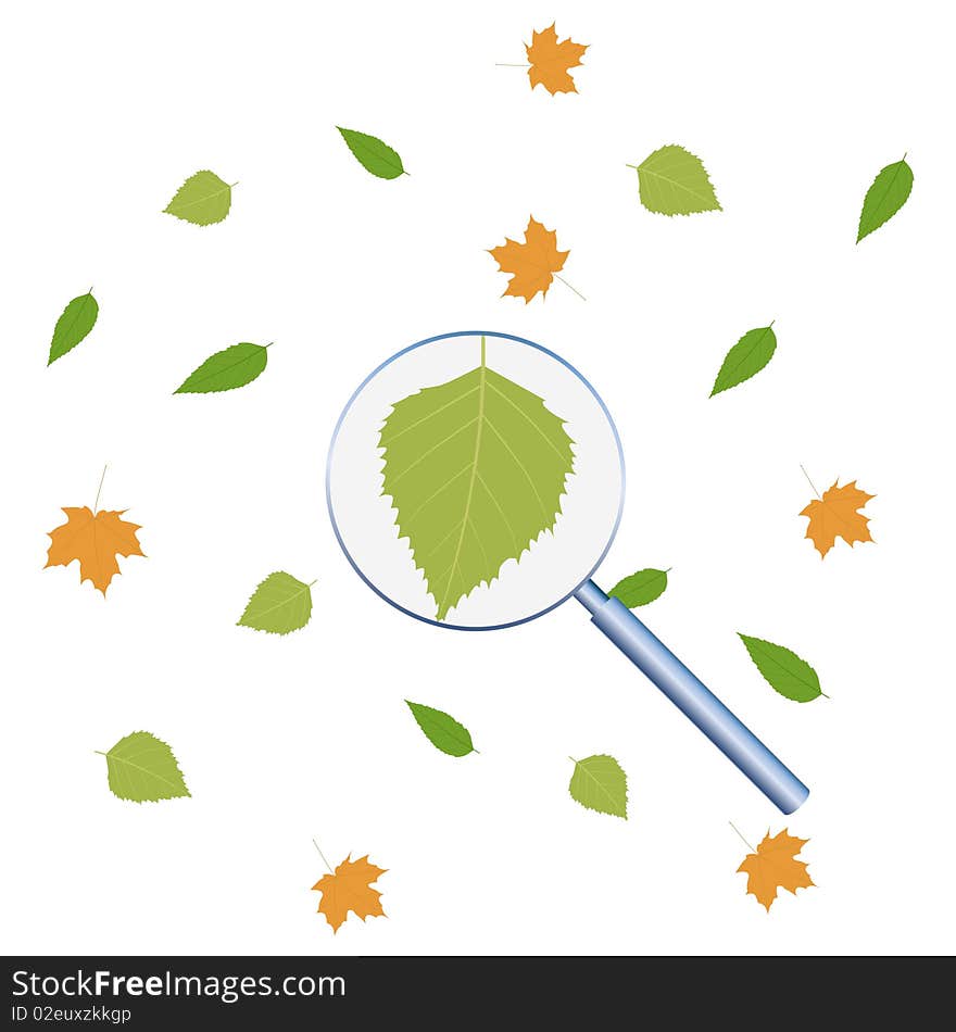 Sheet under magnifying glass amongst autumn fall of the leaves