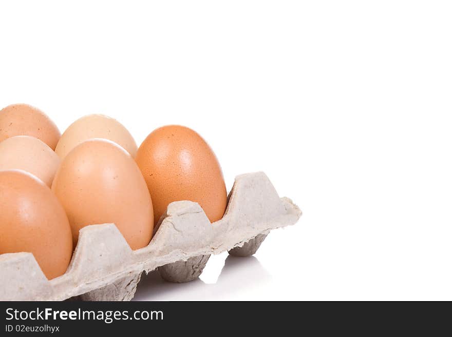 Eggs in protective container with reflection