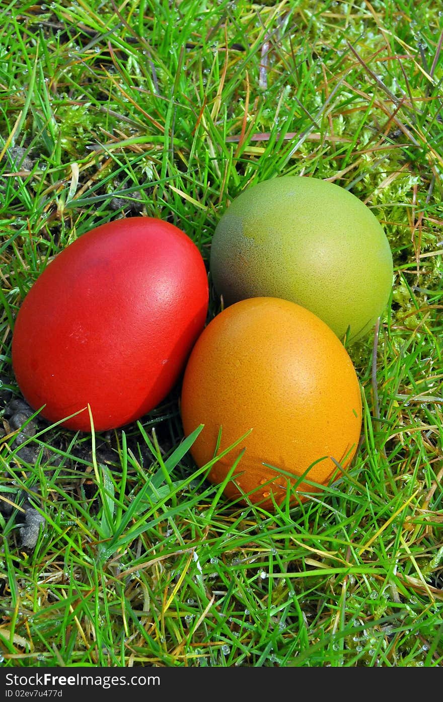 Three colored easter eggs on the grass