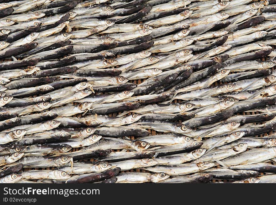 The image was made from a fishing village near Jakarta, who had left the fish dried in the sun;photography could be used as an image for food, or as decoration for restaurants. The image was made from a fishing village near Jakarta, who had left the fish dried in the sun;photography could be used as an image for food, or as decoration for restaurants.