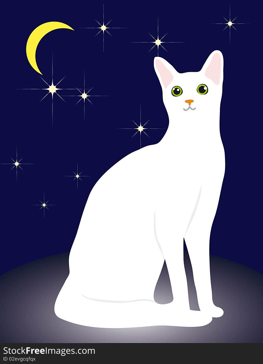 White Cat