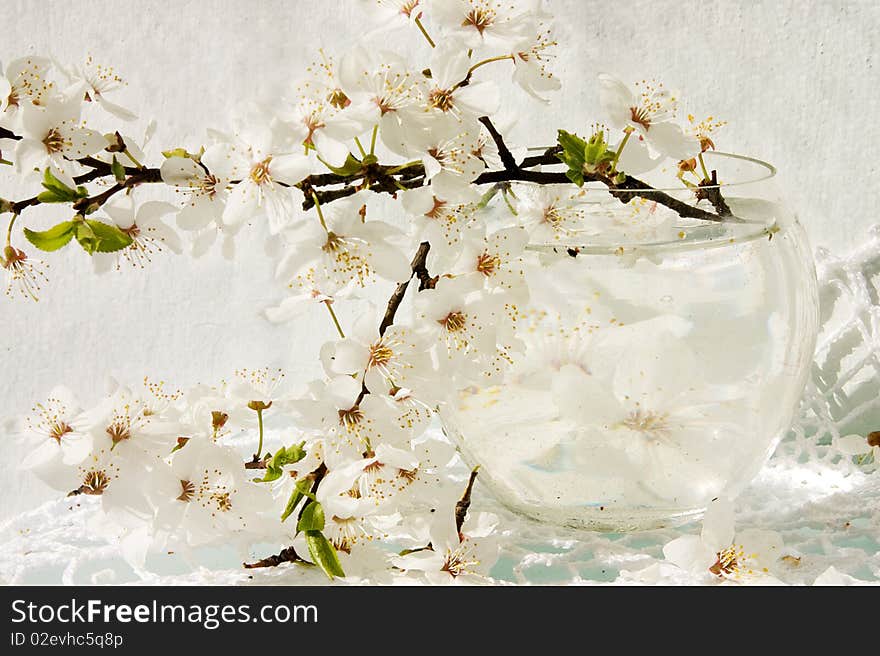 Gentle stll-life with blooming apple tree