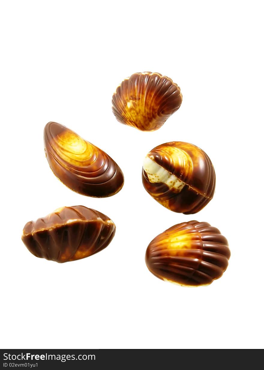 Chocolate seashells isolated on the white background